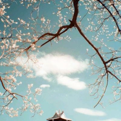 博鱼(boyu)·体育app下载